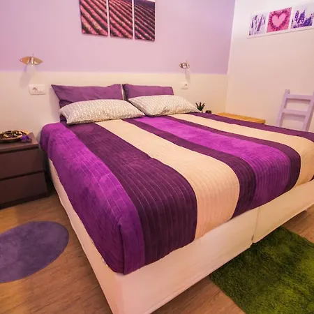 Lavanda & Cappuccino Appartement *