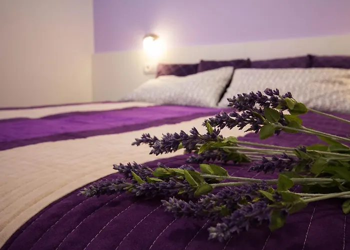 Lavanda & Cappuccino Апартаменты *